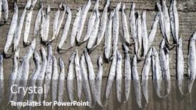  Presentation with fish port - Slide deck with fish-is-dryiing background and a dark gray colored foreground