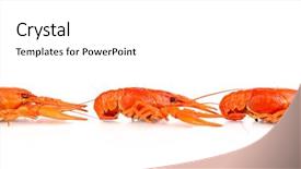  Presentation with history earth globe isolated white - Slide deck enhanced with fish lobster - tasty boiled crayfishes isolated background and a white colored foreground