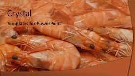  Presentation with seafood dis - Presentation theme with fish marketing - fresh prawns seafood background and a  colored foreground