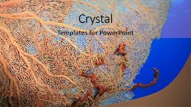  Presentation with coral - Amazing slides having fish molly - gorgonian fan coral annella mollis backdrop and a  colored foreground