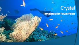  Presentation with scuba diving - Theme with fish molly - scuba diver observes giant sea background and a  colored foreground