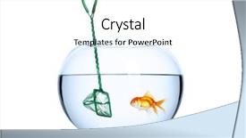  Presentation with fish net - Colorful slides enhanced with fish net - opportunity to fall backdrop and a white colored foreground