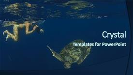  Presentation with fish ocean - Slide set with fish ocean - young woman swims snorkeling background and a navy blue colored foreground