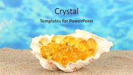  Presentation with shell - Slides enhanced with fish oil in the shell in the sand on a blue background background and a arctic colored foreground