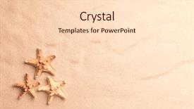  Presentation with fish beach - Presentation design with fish on beach sand texture background and a lemonade colored foreground