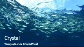  Presentation with fish ocean - Amazing slide deck having fish on blue ocean background backdrop and a  colored foreground