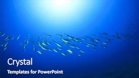  Presentation with mediterranean - Presentation design having smiling manager sitting at work desk in meeting room background and a gray colored foreground.