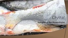  Presentation with frozen fish - Presentation theme consisting of fish perch frozen object background and a light gray colored foreground
