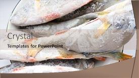  Presentation with frozen fish - Presentation design featuring fish perch frozen object background and a coral colored foreground