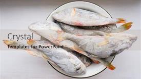  Presentation with frozen fish - Cool new slides with fish perch frozen object backdrop and a coral colored foreground