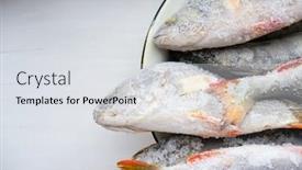  Presentation with frozen fish - Presentation design having fish perch frozen object background and a light gray colored foreground