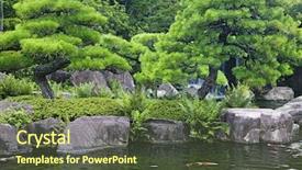  Presentation with koi fish - PPT layouts consisting of fish plant culture - japan himeji himeji koko-en gardens background and a tawny brown colored foreground