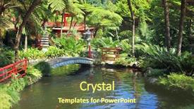  Presentation with ancient indian philosophy lovely - Amazing PPT theme having fish plant culture - lovely pond with goldfish backdrop and a  colored foreground