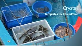  Presentation with geotechnical engineering soil boring boat - Cool new PPT theme with fish port - fisherman selling seafood on small backdrop and a ocean colored foreground