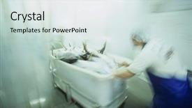  Presentation with export - Colorful presentation theme enhanced with fish processing - yellowfin tuna being processed backdrop and a sky blue colored foreground