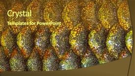  Presentation with fish scales - PPT theme enhanced with fish scales - macro of an eastern rainbowfish background and a tawny brown colored foreground