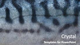  Presentation with marble texture and - Beautiful presentation theme featuring fish scales - texture of mackerel backdrop and a gray colored foreground