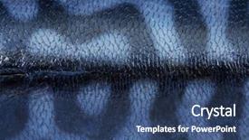  Presentation with fish scales - Beautiful slide deck featuring fish scales - texture of mackerel backdrop and a ocean colored foreground