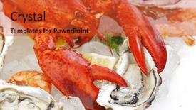  Presentation with seafood - Presentation having fish scales - various fresh seafood on white background and a red colored foreground