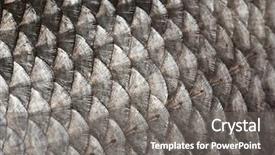  Presentation with fish scales - Presentation theme consisting of image of lemurs in natural habitat animals and wildlife background and a tawny brown colored foreground