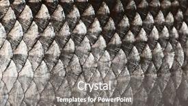  Presentation with fish scales - Cool new PPT theme with fish scales background backdrop and a gray colored foreground