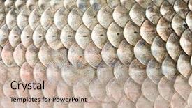  Presentation with fish scales - Beautiful PPT theme featuring fish scales carp background backdrop and a soft green colored foreground