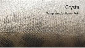  Presentation with fish scales - Audience pleasing presentation design consisting of fish scales grunge texture back backdrop and a light gray colored foreground