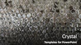  Presentation with fish scales - Audience pleasing slide set consisting of fish scales salmon macro image backdrop and a dark gray colored foreground
