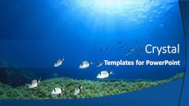  Presentation with underwater - Cool new theme with fish-school-on-underwater-reef backdrop and a teal colored foreground