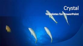  Presentation with fish ocean - Amazing PPT theme having fish school yellow snappers and goatfish in ocean backdrop and a ocean colored foreground