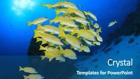  Presentation with fish ocean - Slide deck featuring fish school yellow snappers and goatfish in ocean background and a ocean colored foreground