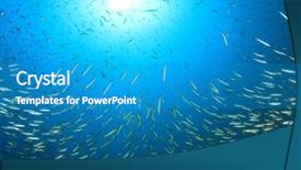  Presentation with fish ocean - PPT theme with fish shoal in ocean snapper background and a teal colored foreground