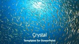  Presentation with fish ocean - Cool new theme with fish shoal in ocean snapper backdrop and a ocean colored foreground