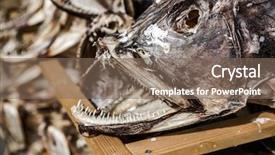  Presentation with norway - Cool new slide deck with fish-shop-reine-lofoten-norway backdrop and a violet colored foreground