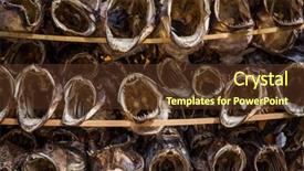  Presentation with norway - Beautiful PPT layouts featuring fish-shop-reine-lofoten-norway backdrop and a tawny brown colored foreground