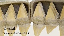  Presentation with mouth tooth - Audience pleasing PPT theme consisting of fish skeleton - inside of the mouth backdrop and a soft green colored foreground