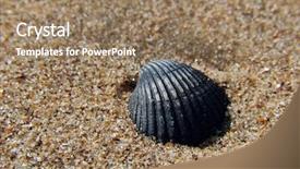  Presentation with fine tuning - Colorful presentation enhanced with fish skeleton - old shell hull backdrop and a  colored foreground