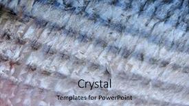  Presentation with fish scales - Audience pleasing theme consisting of fish skin backdrop and a  colored foreground