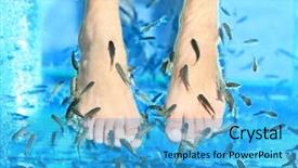  Presentation with blue spa - PPT theme enhanced with fish spa pedicure rufa garra background and a teal colored foreground