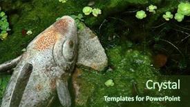  Presentation with stone - PPT theme enhanced with fish stone sculpture in pool background and a tawny brown colored foreground