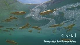  Presentation with lake fish - Colorful theme enhanced with fish swimming in plitvice lake backdrop and a ocean colored foreground