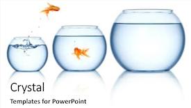  Presentation with goldfish jumping out - PPT layouts featuring fish tank - goldfish jumping background and a white colored foreground