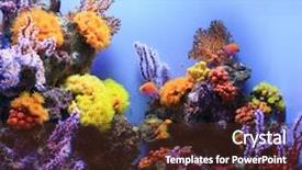  Presentation with fish aquarium - Cool new presentation with fish tank - underwater image of man made backdrop and a tawny brown colored foreground