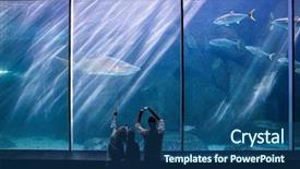  Presentation with fish aquarium - Colorful slide set enhanced with fish tank at the aquarium backdrop and a ocean colored foreground