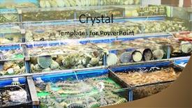  Presentation with hong kong - Amazing slide deck having fish tank in hong kong backdrop and a mint green colored foreground