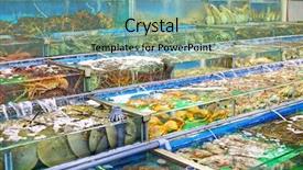  Presentation with hong kong - Audience pleasing slide deck consisting of fish tank in hong kong backdrop and a seafoam green colored foreground