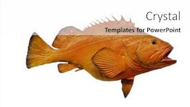  Presentation with fishing - PPT theme having fish-taxidermy-fish-isolated background and a white colored foreground