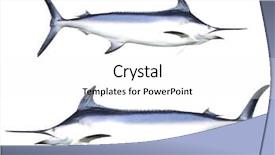  Presentation with photo - PPT layouts enhanced with halloween and gothic theme the black hand of death holding a blank red card isolated on a white background in the studio the walking dead shot background and a light gray colored foreground