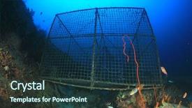  Presentation with fish net - Slides featuring fish trap net or cage background and a tawny brown colored foreground
