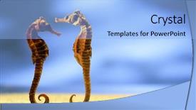  Presentation with underwater - Audience pleasing PPT theme consisting of fish type - underwater backdrop and a light blue colored foreground